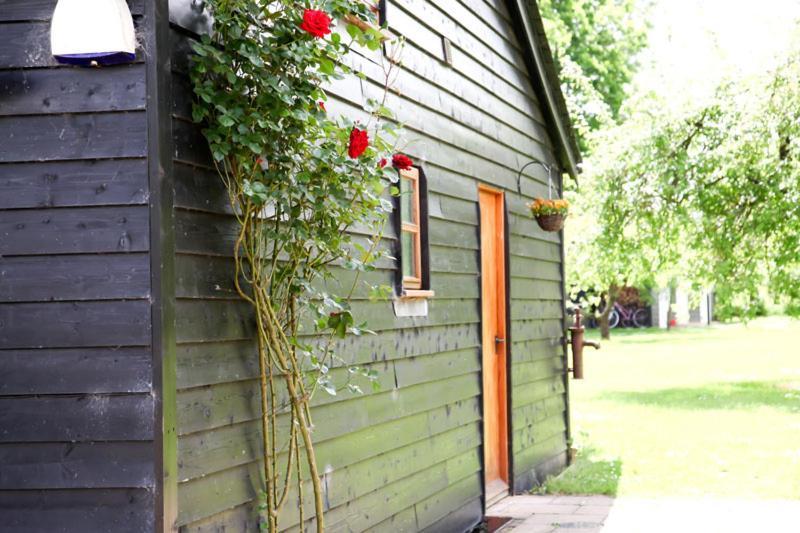 Wilderness B&B 3 Self Contained Rooms Nr Sissinghurst Headcorn Dış mekan fotoğraf